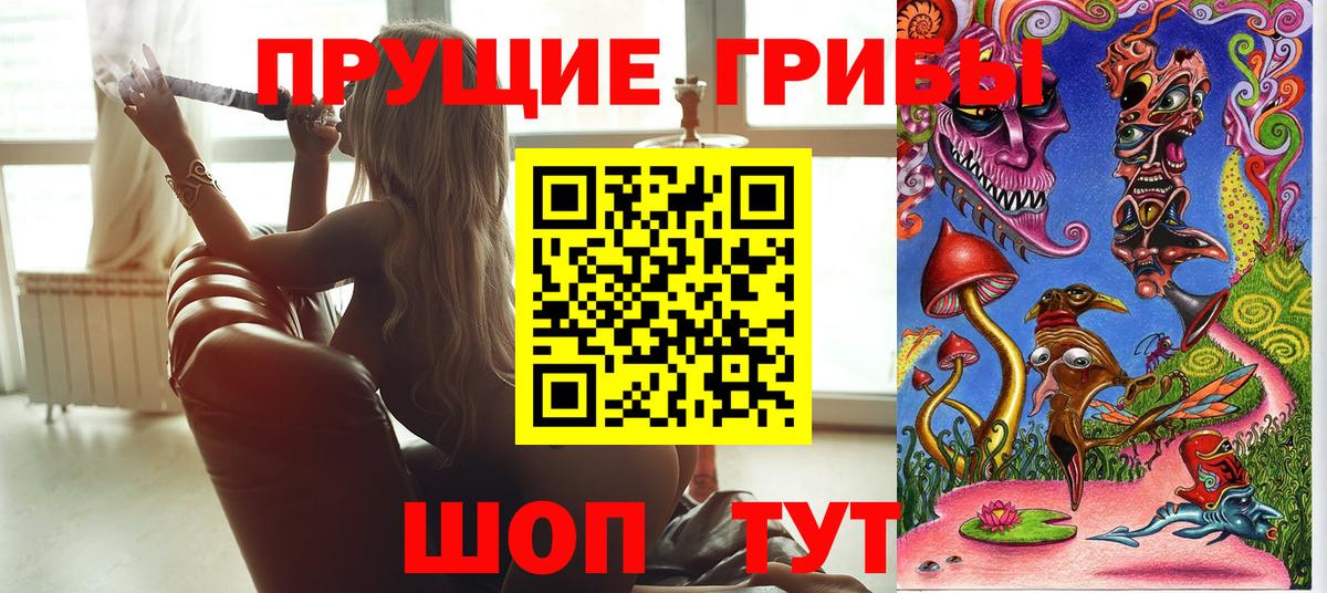 закладка  Галлюциногенные грибы мухоморы  Вход с VPN  Нерюнгри  Псилоцибиновые грибы MAGIC MUSHROOMS 